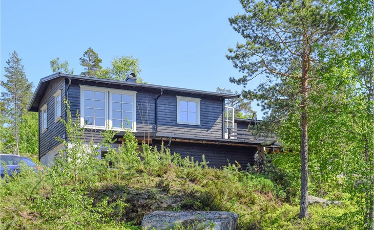 4 bedroom lovely home in Treungen 1