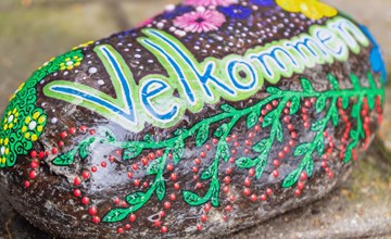 "Isbiorn" - 300m from the sea 2