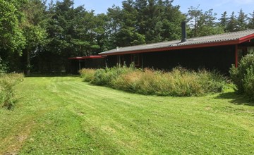 „Stillfriede“ – 400 m vom Meer entfernt in Westjütland 2