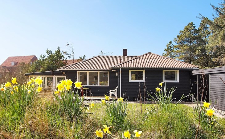 "Dane" - 500m from the sea in Western Jutland 1