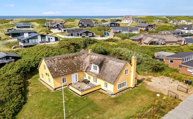 "Urte" - uit de zee in West-Jutland 1