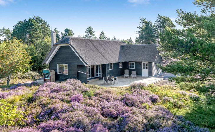 „Thorulf“ – 3,5 km vom Meer entfernt in Westjütland 1