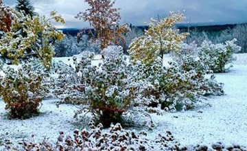 Vaara's vakantieappartement 3