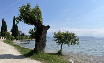 Concept Village Piccola Gardiola 2