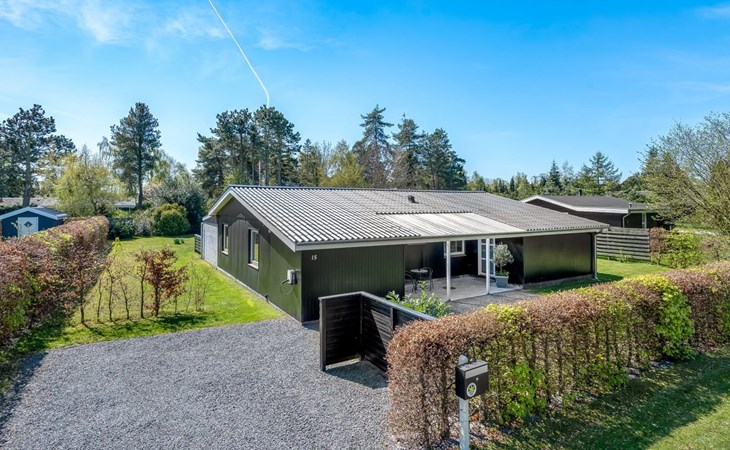 "Ansine" - 500m from the sea 1