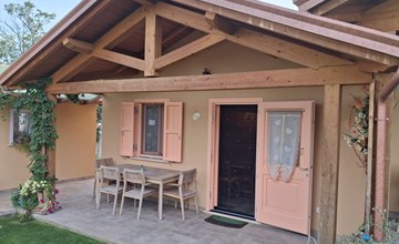 'Vindemia la salmon 2