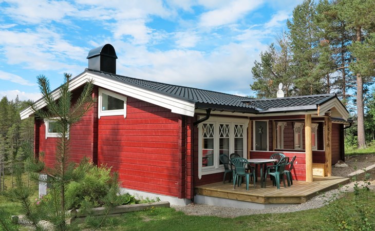 Kvisthån The yew tree (HJD059) 1