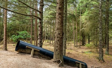 "Felicita" -  from the sea 2