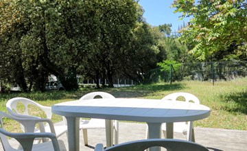 The Great Conche (TSM209) 2