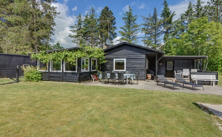 "Annamie" - 650m from the sea in NE Jutland 1