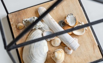 "Ingebrit" - 1.4km from the sea 2