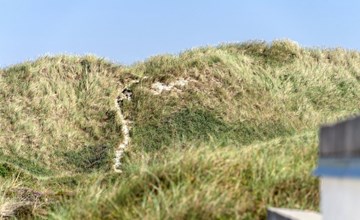 "Marjon" - 400 meter van de zee in Noordwest-Jutland 3