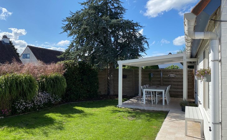 Zonneweelde bei Dünen und Wald 1