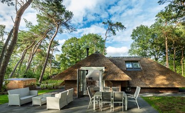 Sprielderbosch 25 Luxury holiday home on a holiday park in the Veluwe 3