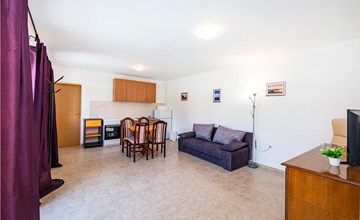 Pet friendly home in Lisane Tinjske 3
