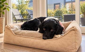 Knilles 4 pers. by the water | Pet-friendly stay 2