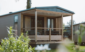 Tiny 4-Personen-Lodge 2
