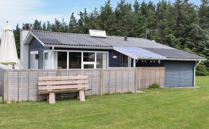 "Liisi" - 500m from the sea in NW Jutland 1