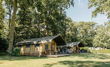 Safari tent | 5 persons 2