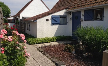 Zonneweelde bei Dünen und Wald 2