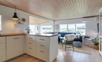 "Dodo" - 500m from the sea in NW Jutland 2