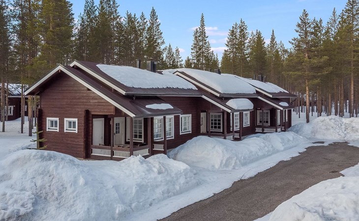 Levis goldenes Zuhause 1