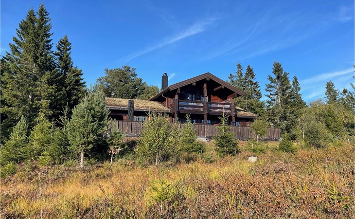 4 bedroom stunning home in Nissedal 1