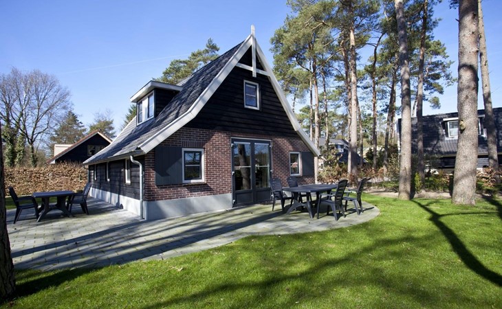 Villa Veluwe Plus 8 1