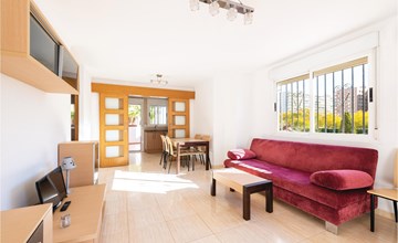 Pet friendly apartment 2