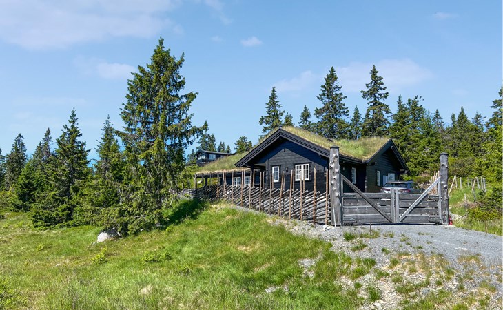 Amazing home in Sjusjøen with sauna 1