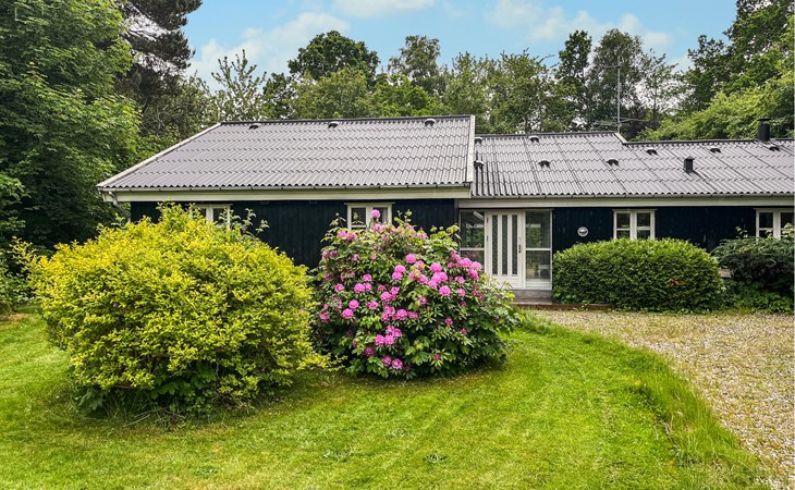Cozy home in Græsted with sauna 1