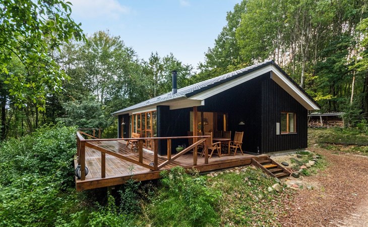 "Nelie" - 40km from the sea in SE Jutland 1