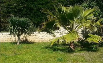 VanessaHolidayHome Erster Stock in Cava d'Aliga 2