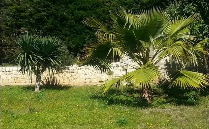 VanessaHolidayHome Erster Stock in Cava d'Aliga 1