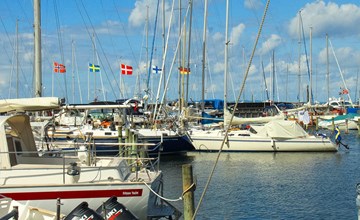 "Cedomir" - 625m from the sea in Sealand 3