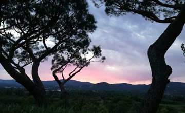 Anlage mit Tennisplatz und 3 Gemeinschaftspools 2