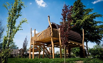Treelodge 2 3