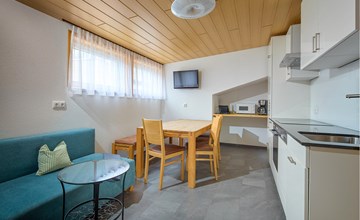 Haustierfreundliches Apartment in St. Gallenkirch mit WLAN 3