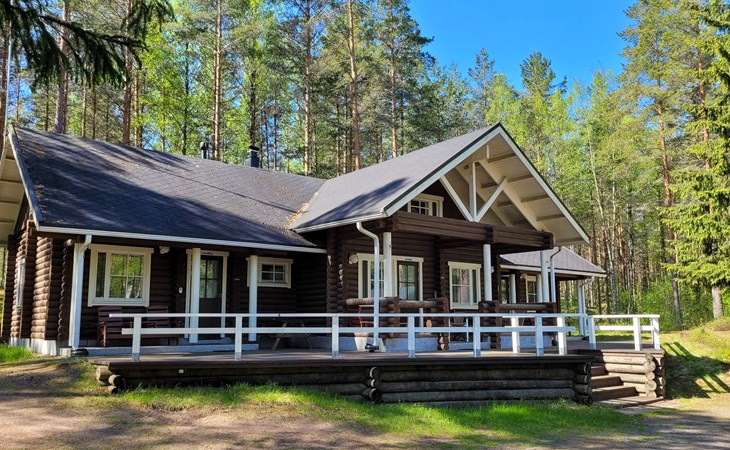 Kilpolan orvokki, pauliina ja karoliina 1