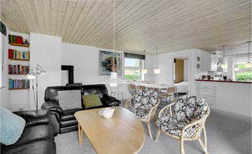 3 bedroom pet friendly home in Hejls 3