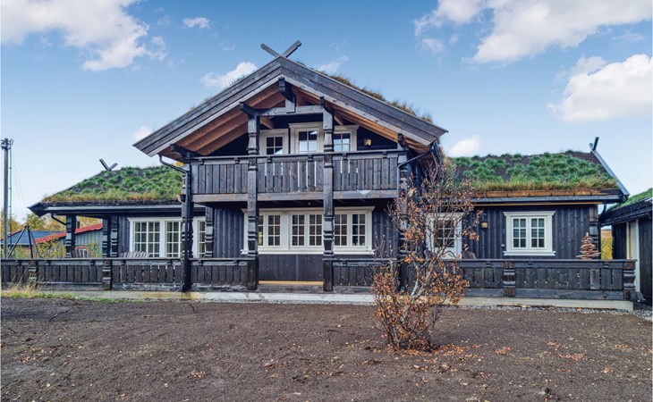 Stunning home in Hovden i setesdal 1