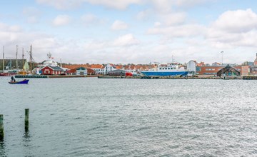 „Gaby“ – 250 m vom Meer entfernt auf Fünen 3