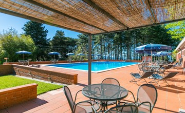 San Vivaldo, nr. 11 3