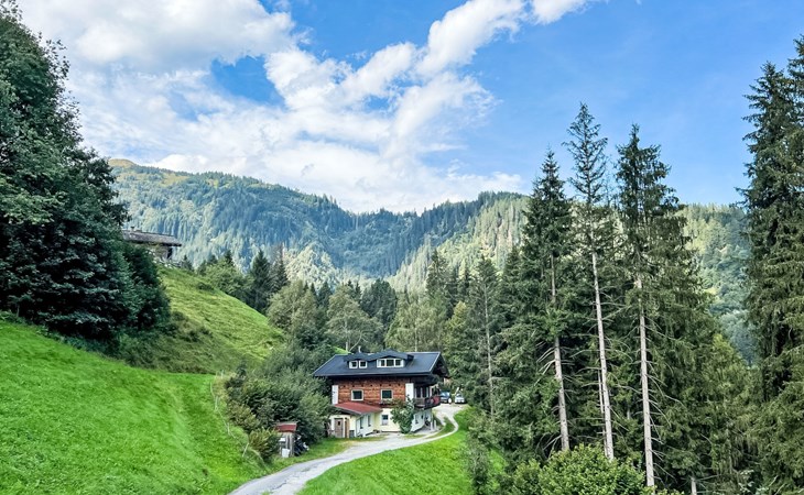 Benjamin+Daniel (MII163) 1