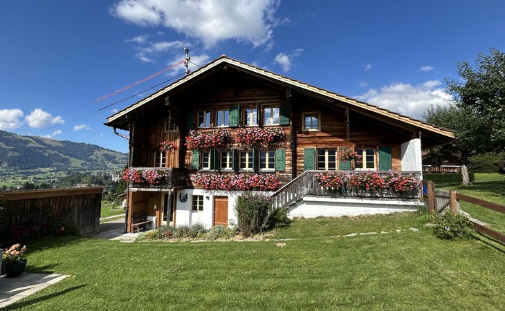 Alpenchalet Haldeli Dachwohnung 1