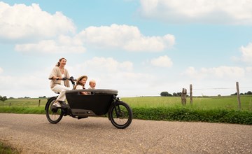 Biebosch - Gartenhaus 3