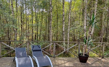 „Clementine“ – 1,2 km vom Meer entfernt in Bornholm 3