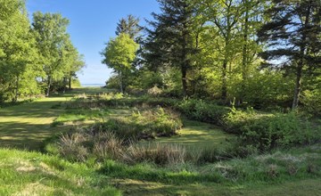 "Aswarth" - 50m to the inlet in The Liim Fiord 3