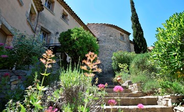 Les Garrigues de la Vallée des Baux - Mazet 4 2