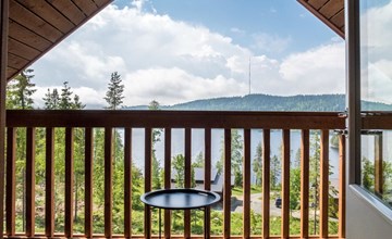 Koli's mirage clover 1 3